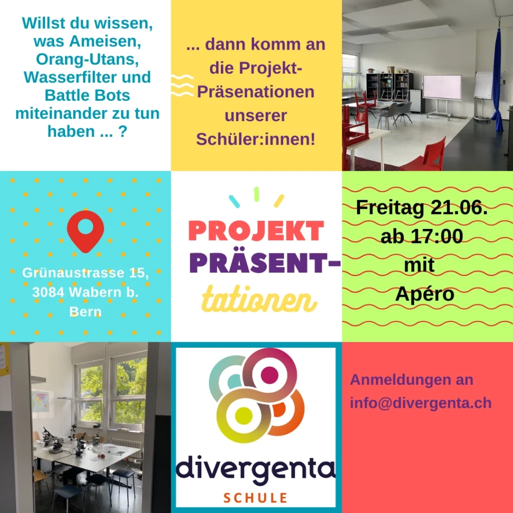 Projekt-Präsentationen